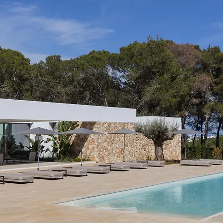 Tilda - Santa Eulalia